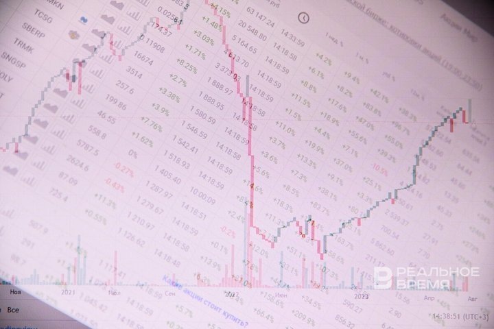   Максим Платонов / realnoevremya.ru