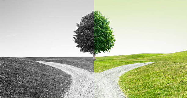 Когда вы дойдете до развилки, сверните на нее: как принять решение, если застрял на перепутье - инструкция от психолога