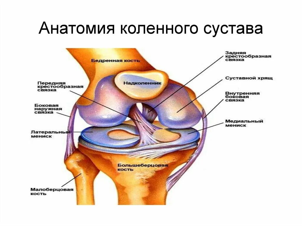 фото из открытого источника