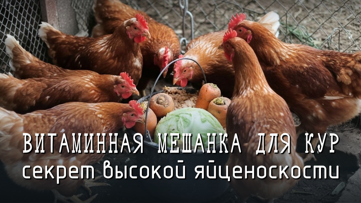 Витаминная мешанка