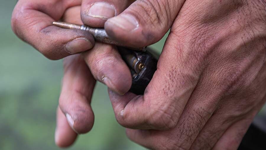    Фото: Global Look Press/Bulkin Sergey