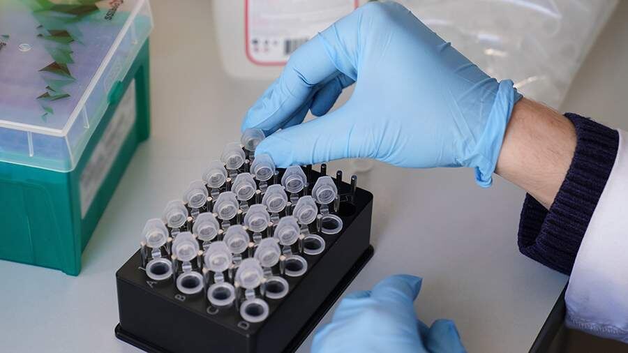    Фото: ИЗВЕСТИЯ/Анна Селина