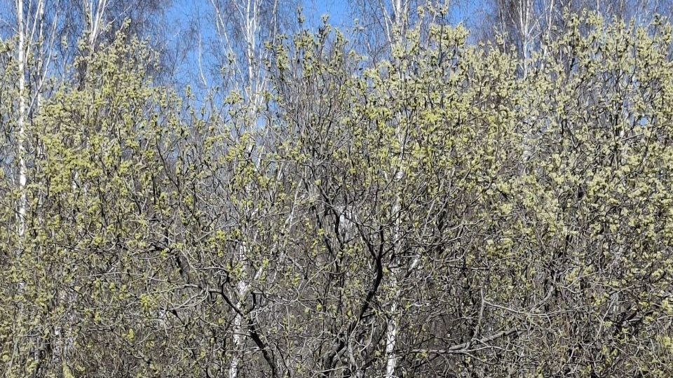 Ровно год назад в 8 утра моя жизнь разделилась на ДО и ПОСЛЕ