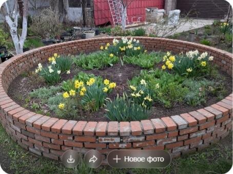 Тыдыщ! Так разрушаются воздушные замки в моей голове