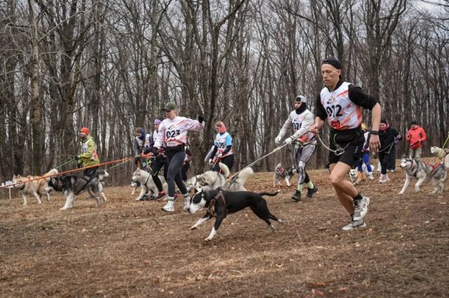    Фото: пресс-служба правительства Хабаровского края