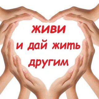 картинка из интернет