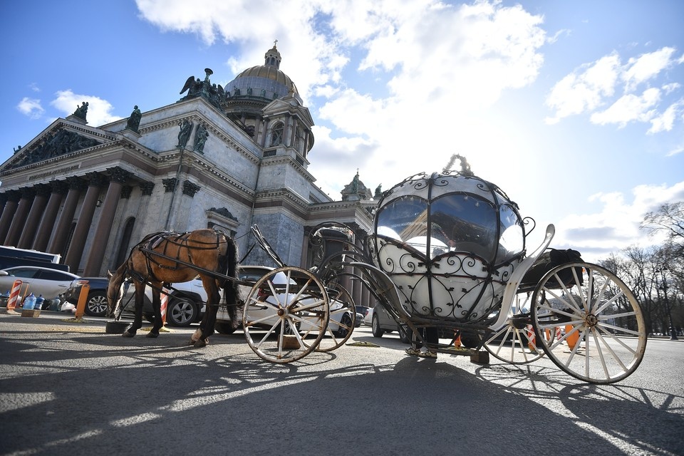    Температура воздуха в Петербурге составит от +7 до +9 градусов. Алексей БУЛАТОВ