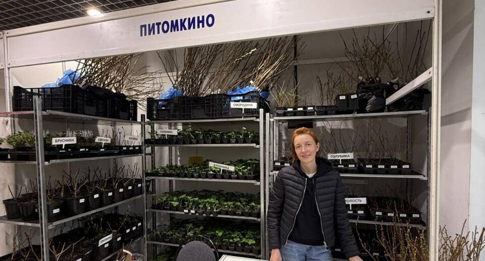    питомник «Питомкино»