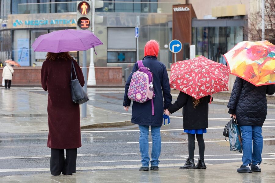     / Источник: © Олег Елков/ТАСС