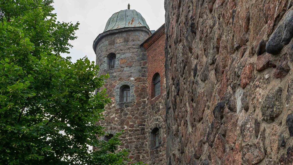 Фото Яндекс Картинки