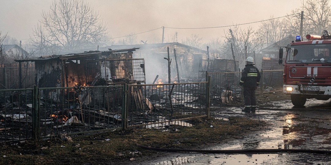 Более 200 собак погибли в пожаре: трагедия в Нижнем Новгороде
