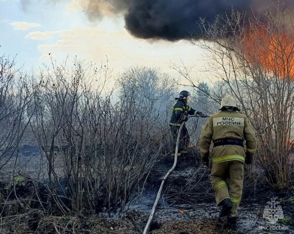 Пожароопасный сезон официально открыт во всех сибирских регионах, но на деле мы видим сотни термоточек и тысячи гектаров, уничтоженных огнём