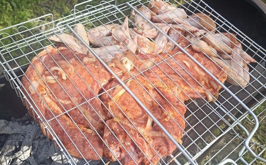 Шашлычок по советам экспертов