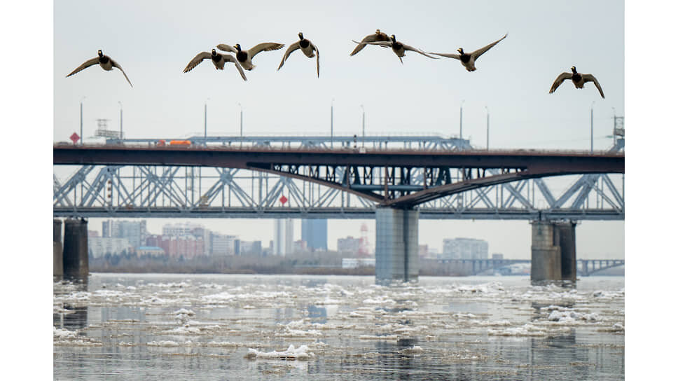 Ледоход на реке Енисее.📷Фото: Александр Паниотов