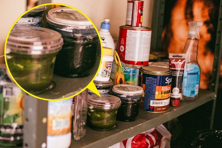 © Karyme França / Pexels