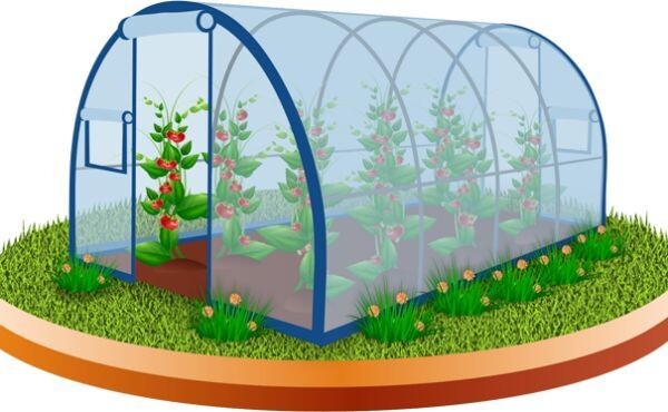 Ссылка на изображение https://ir.ozone.ru/s3/multimedia-c/6651309144.jpg