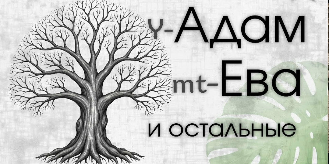 Y-хромосомный Адам и митохондриальная Ева: кто они и при чём тут религия