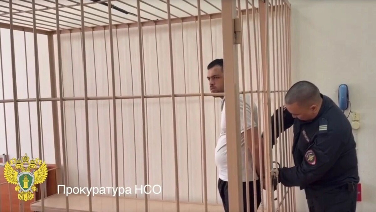    Мигранта, подозреваемого в убийстве маленькой девочки, заключили под стражу   Прокуратура Новосибирской области