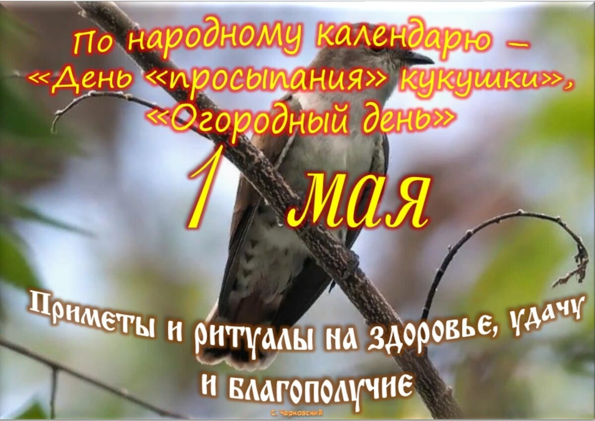 Встречаем новый день