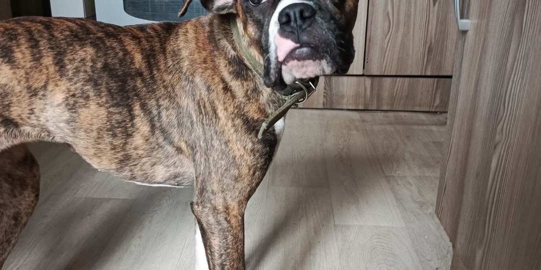 ❗ВНИМАНИЕ! Нужен дом