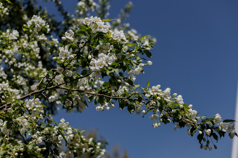 Праздник весны и труда: как провести 1-3 мая в Кирове?