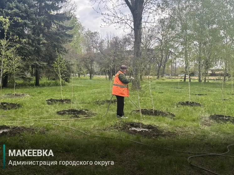     Фото: администрация г.о. Макеевка