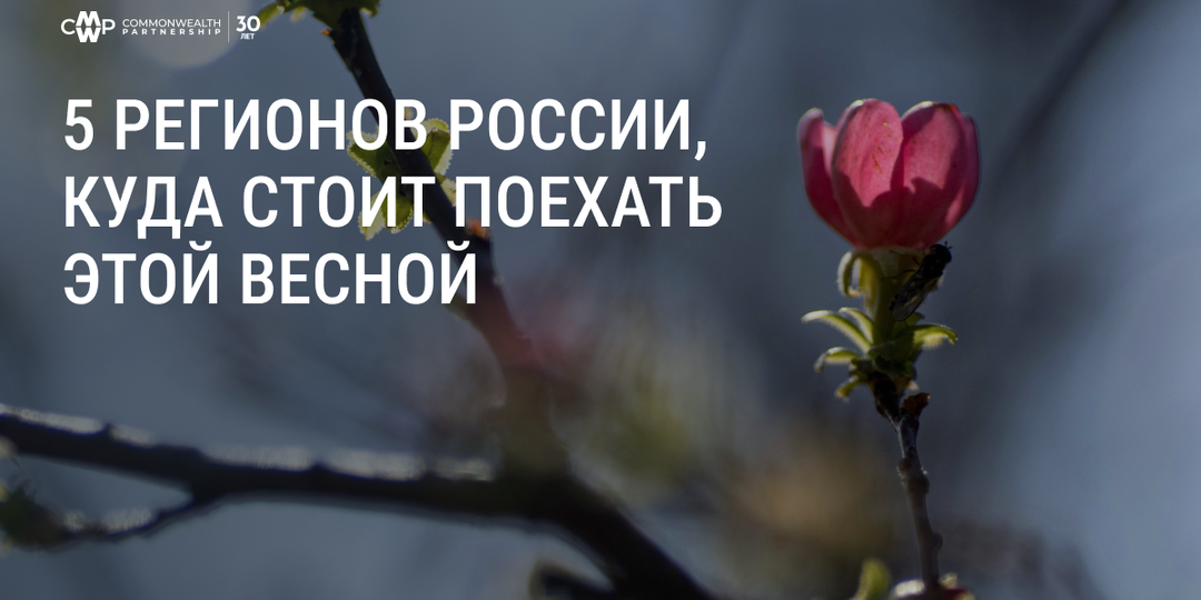 Весеннее цветение: 5 регионов России, куда стоит поехать этой весной