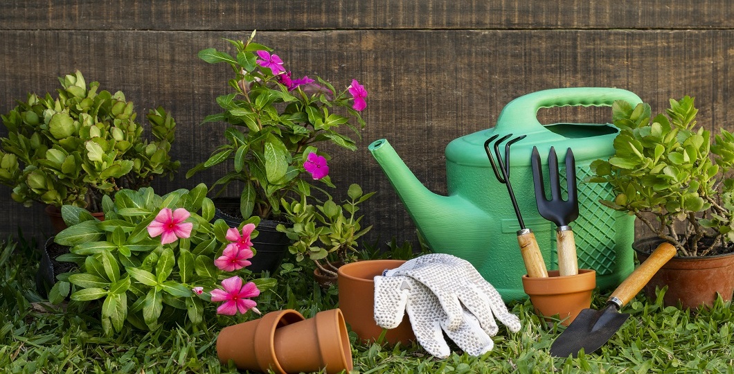 Как обработать дачный участок от клещей рассказали в Роспотребнадзоре