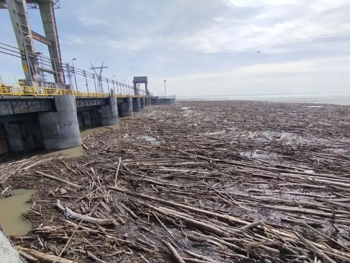    Фото: мэрия Новосибирска