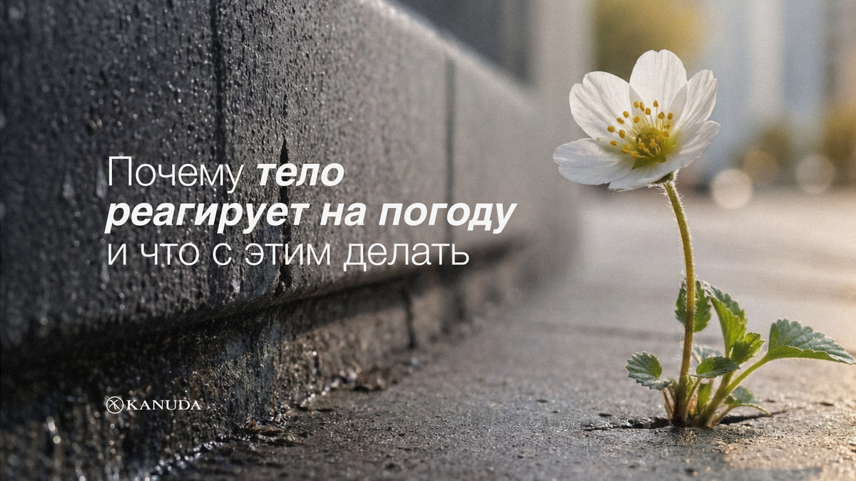 Почему тело реагирует на погоду и что с этим делать?