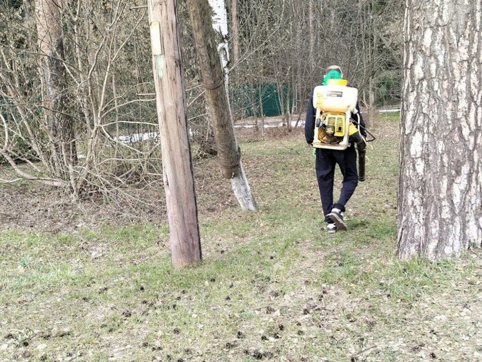 В Первомайском районе Кирова начали обрабатывать территории от клещей