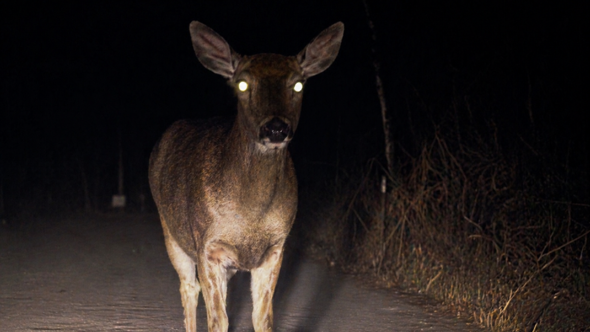 -2