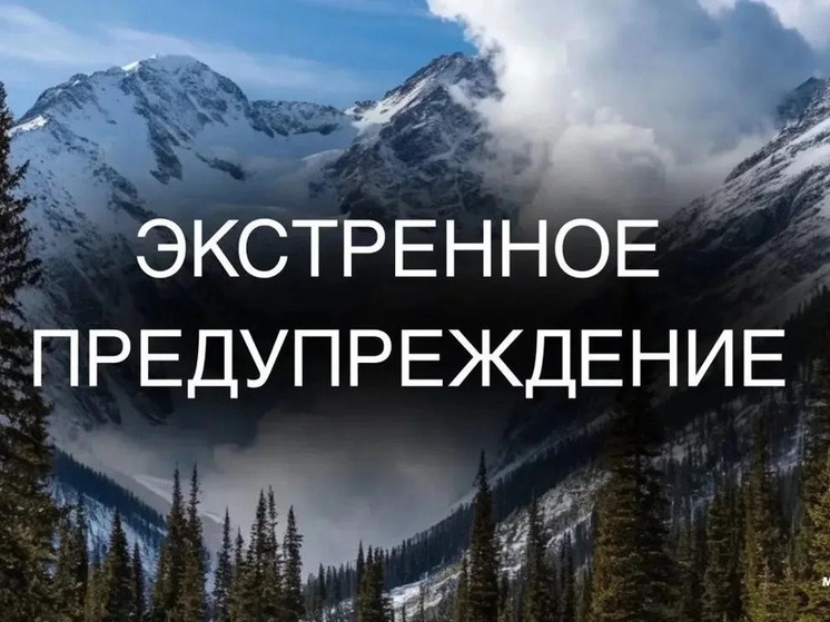     Фото: Гу МЧС по Сахалинской области