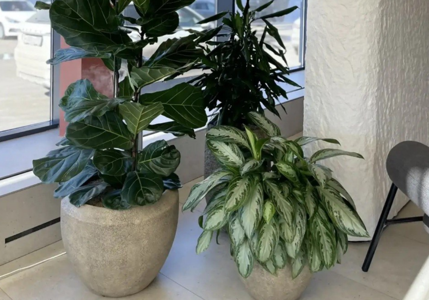 фото из личного архива