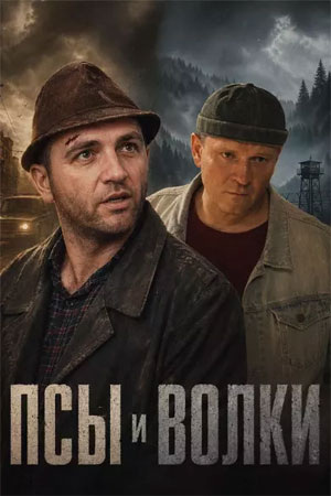 Постер к сериалу Псы и волки (2026)
