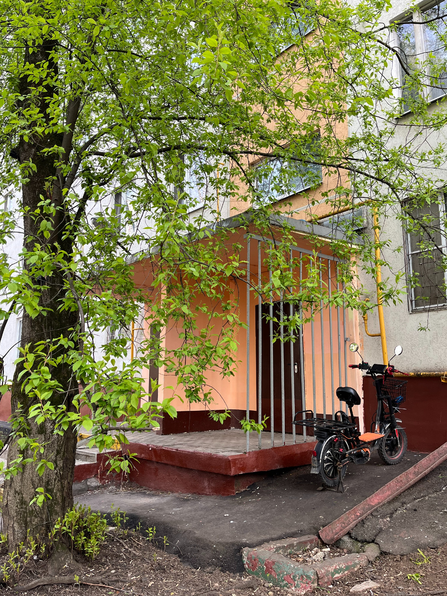 1. San Ant: уютный московский дворик. Все фото в статье - фото из личного архива, апрель-2026. 