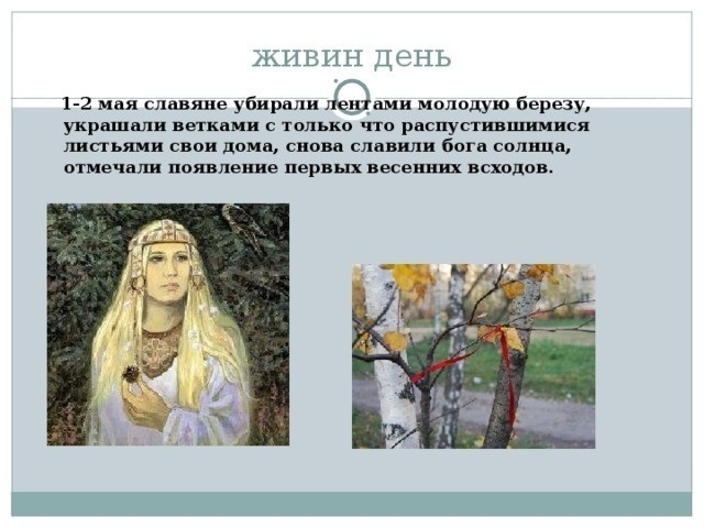 Из свободного доступа в Интернете