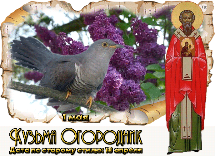 свобод.источник