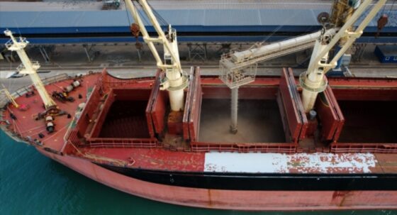     Фото: Новороссийский филиал ФГБУ «ЦОК АПК»