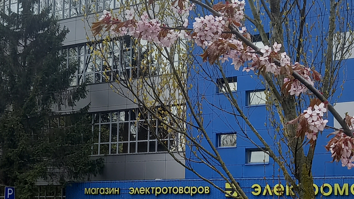 Фото: «МПО Электромонтаж» / Николай Логинов