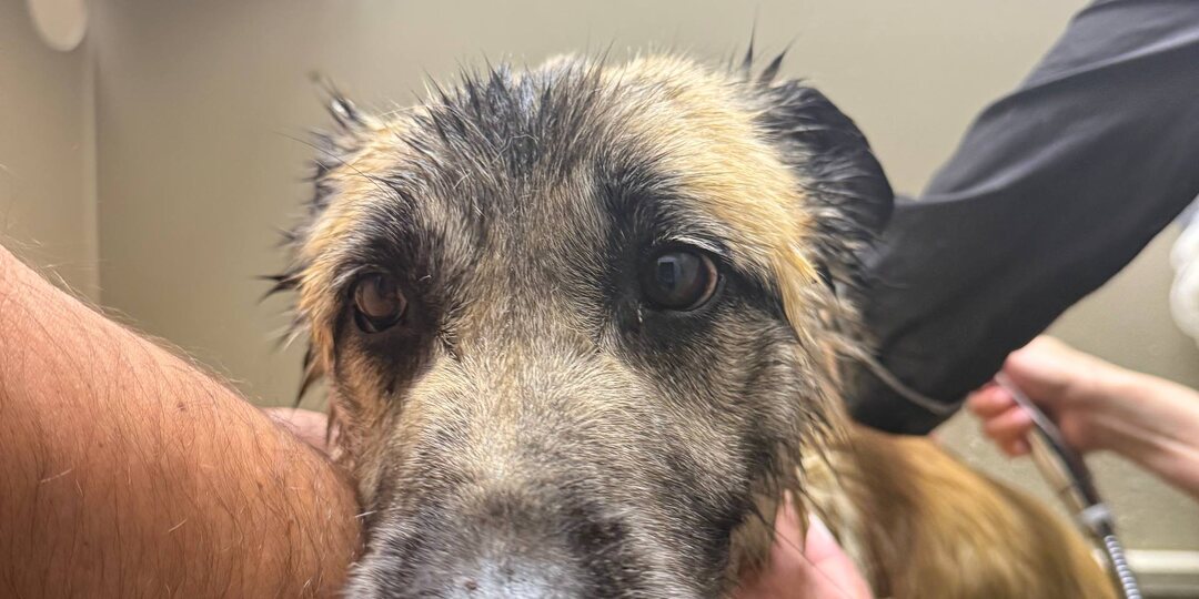 Долгие годы без надежды на будущее 💔