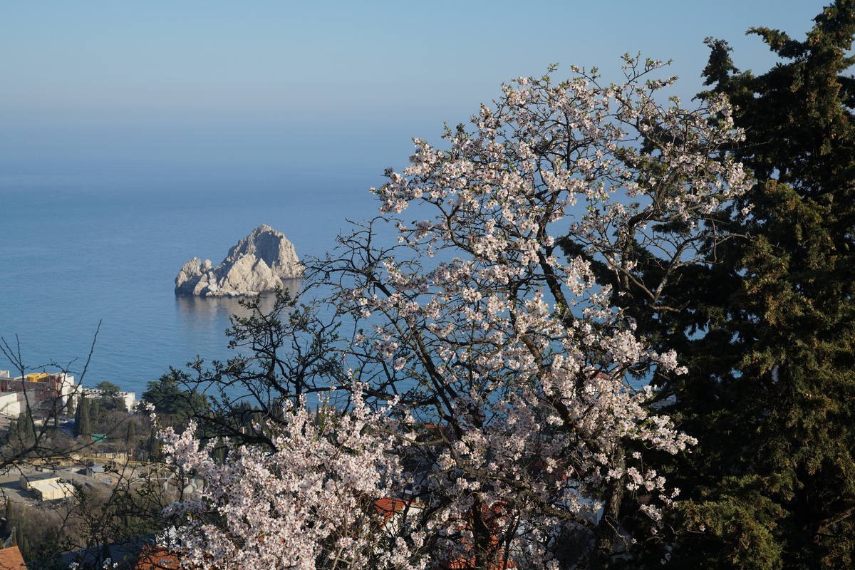 Весна в Крыму
Фото: Виталий Ерёменко