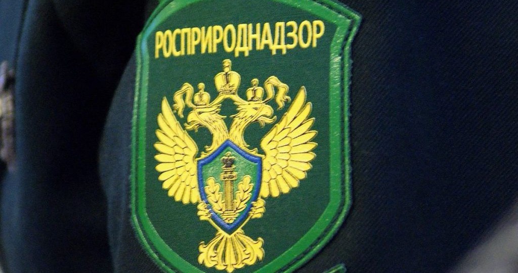 Нижегородское предприятие заплатит 3,1 млн рублей за загрязнение реки Леметь