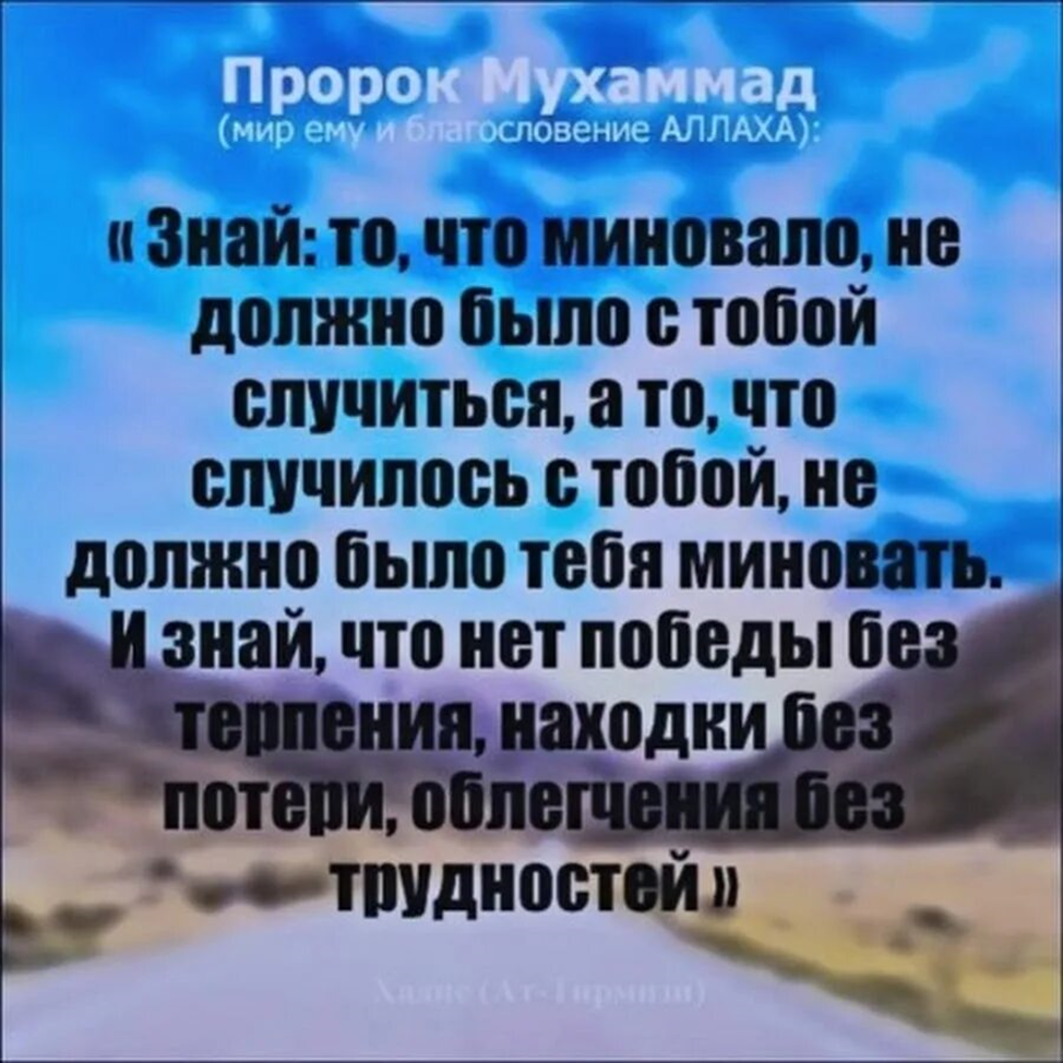  Хадисы Пророка Мухаммеда (САС)