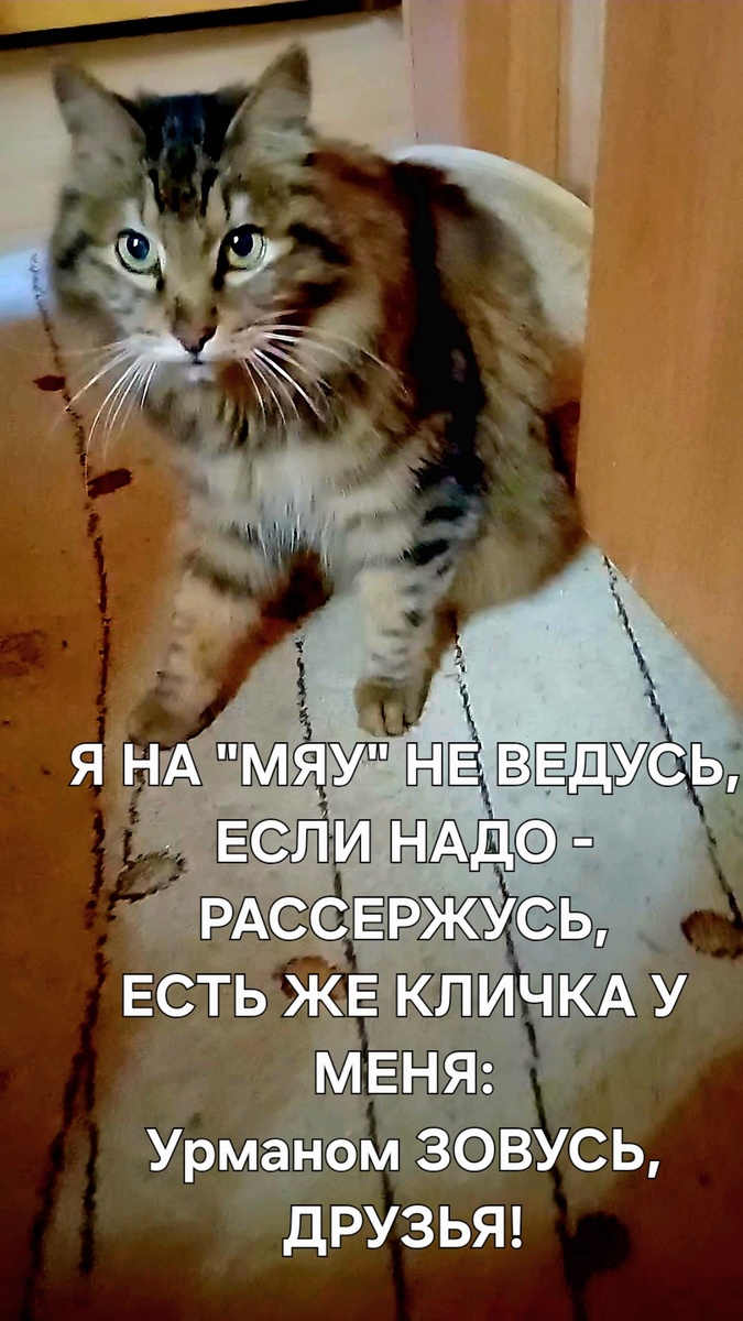 Стихи на открытках. Автор - Татьяна Федотова