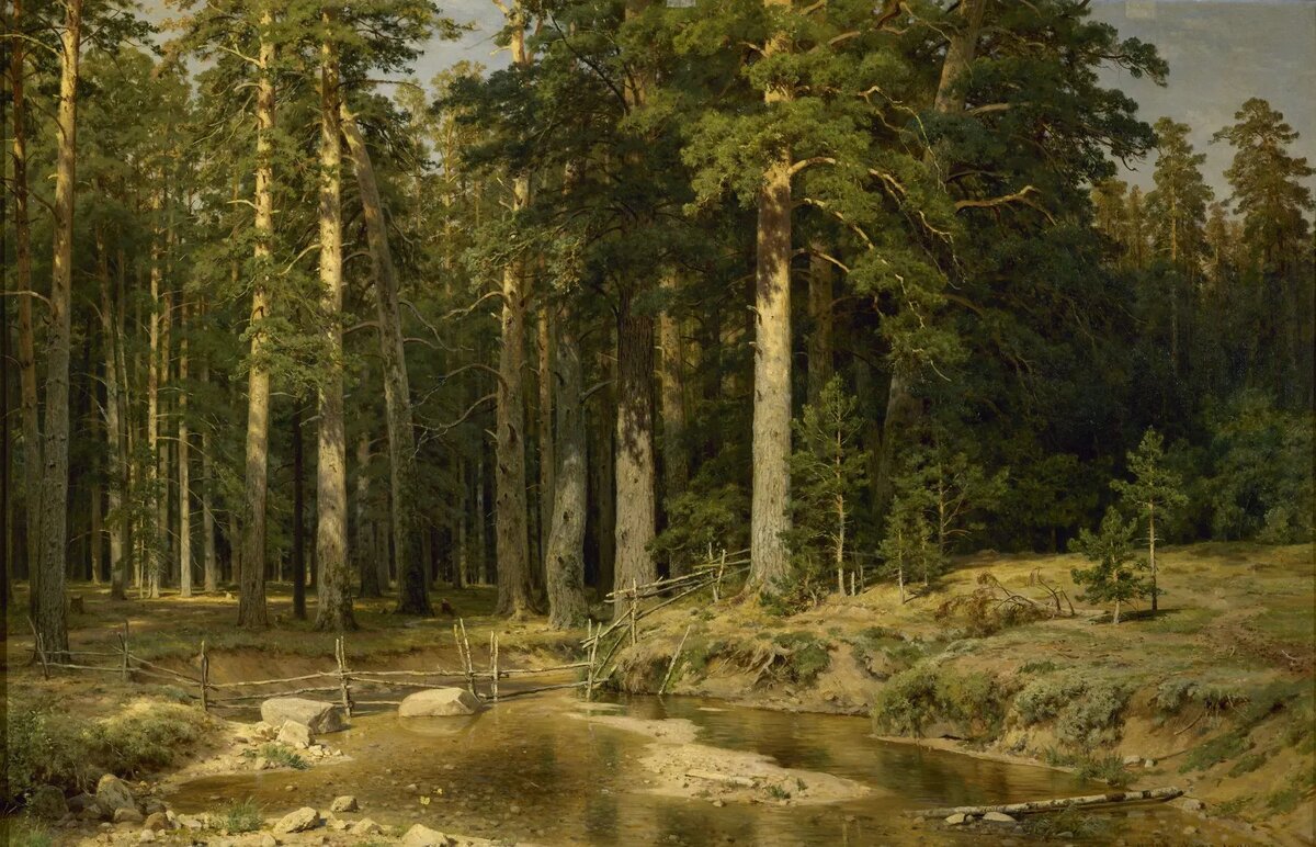 «Корабельная роща». И.И. Шишкин 1898. Масло, холст.