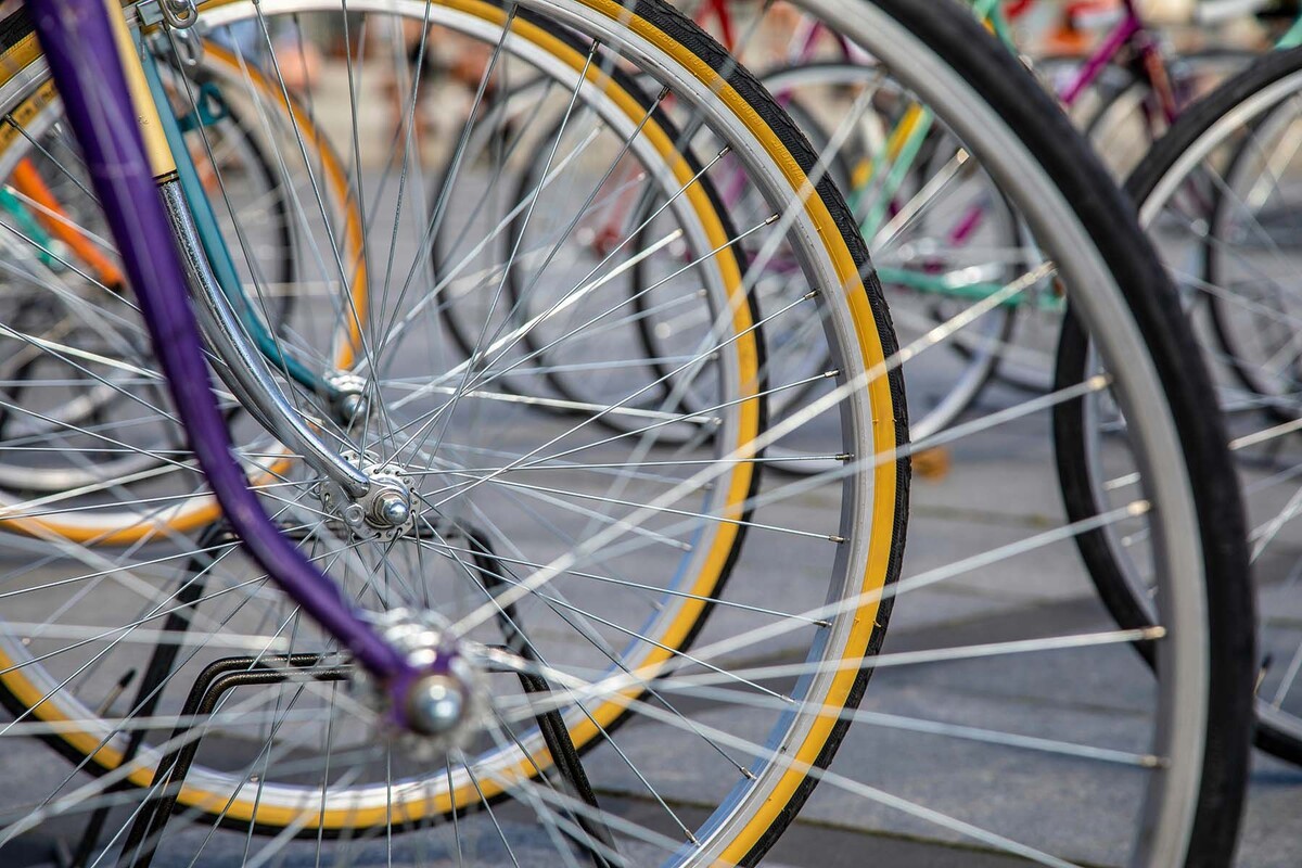  Фото: Katja Ano, Unsplash