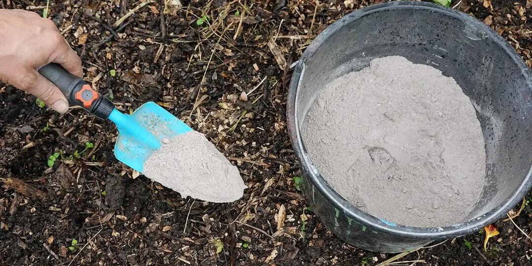 🌿 Органическая подкормка яблони золой и компостом в июне