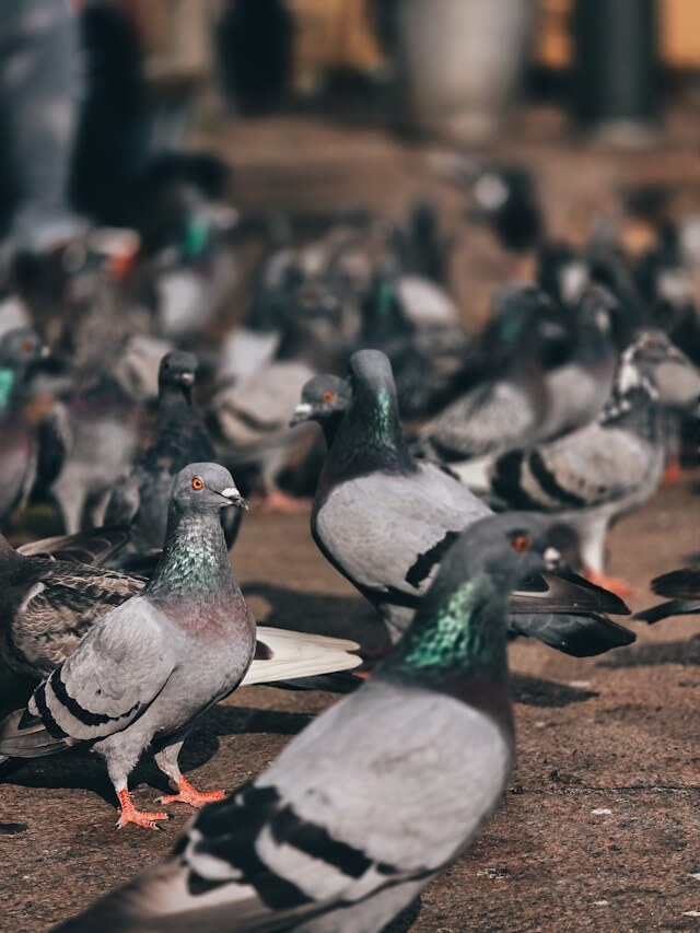    Unsplash