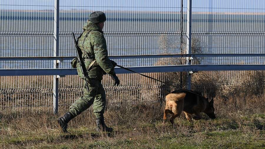    Фото: ИЗВЕСТИЯ/Николай Сиденков